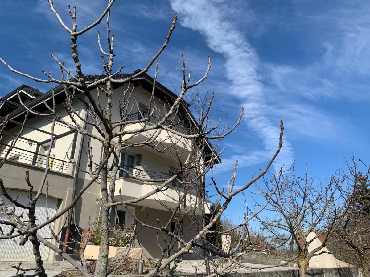 Appartement Detox Au Pied Du Semnoz Seynod Εξωτερικό φωτογραφία