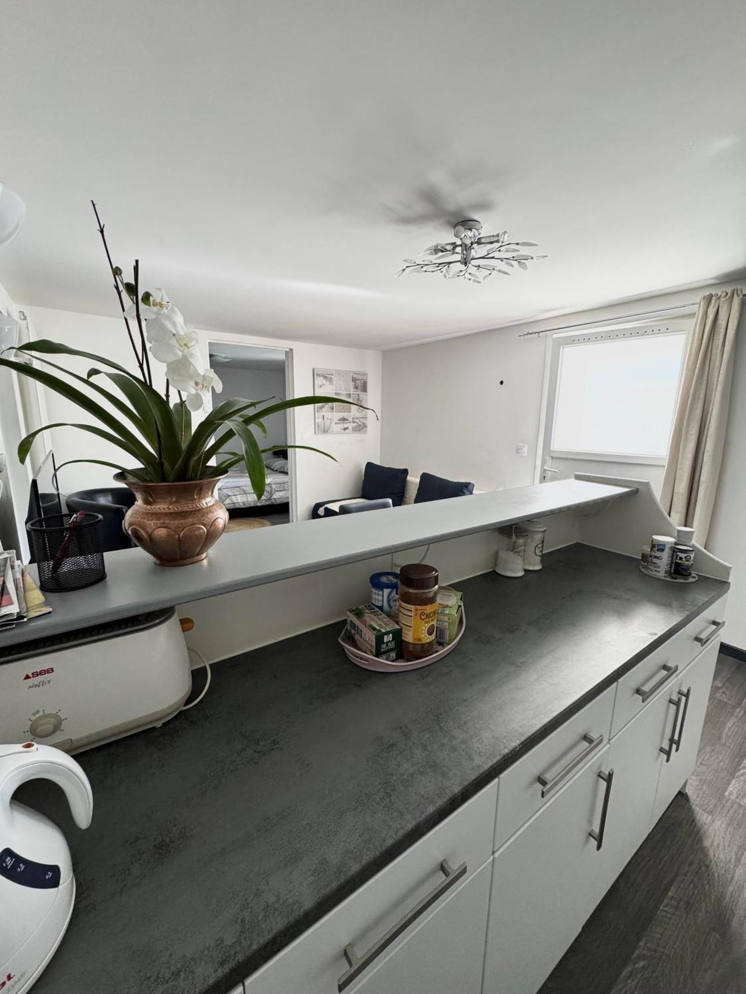 Appartement Detox Au Pied Du Semnoz Seynod Εξωτερικό φωτογραφία